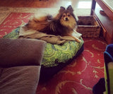 Blue Green Paisley Snugatti™